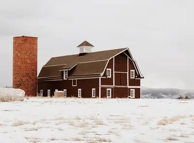 Hidden Wedding Venues in Westminster, Lakewood, and Boulder Worth Knowing