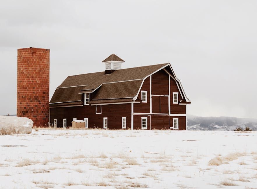 Hidden Wedding Venues in Westminster, Lakewood, and Boulder Worth Knowing
